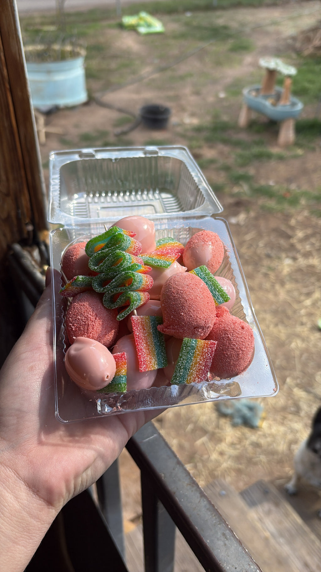 Small Candy fruit